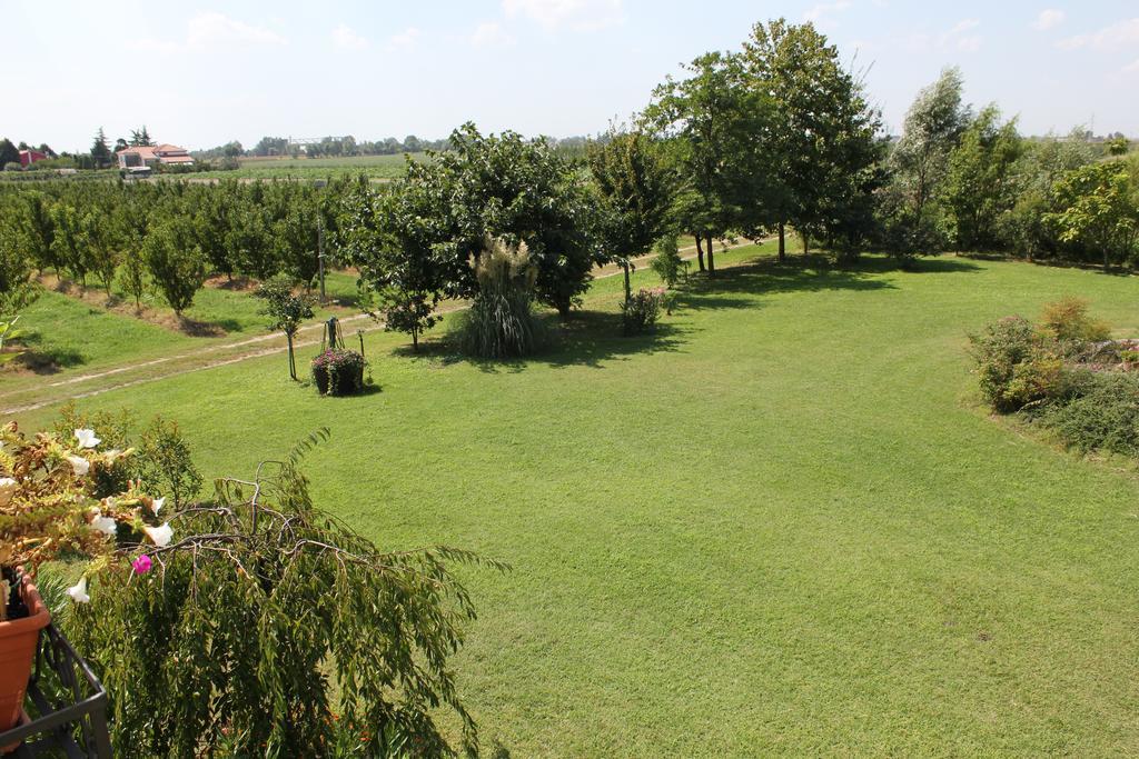 Agriturismo Corte Carezzabella San Martino di Venezze Kültér fotó