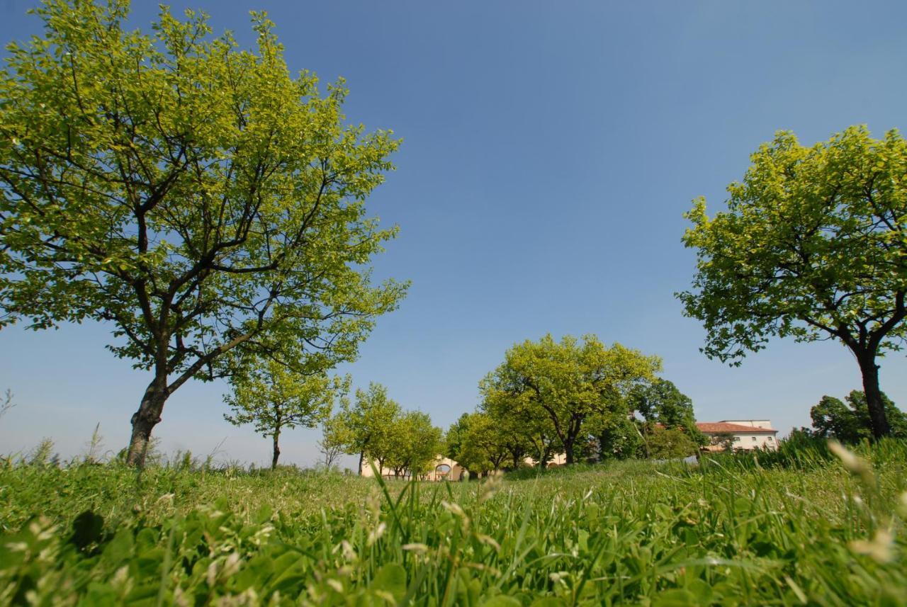 Agriturismo Corte Carezzabella San Martino di Venezze Kültér fotó